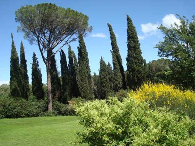 キウージ Al Giardino Degli Etruschiゲストハウス 部屋 写真